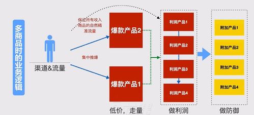 產品演化與用戶共生 信息系統集成服務中的用戶運營體系構建與管理